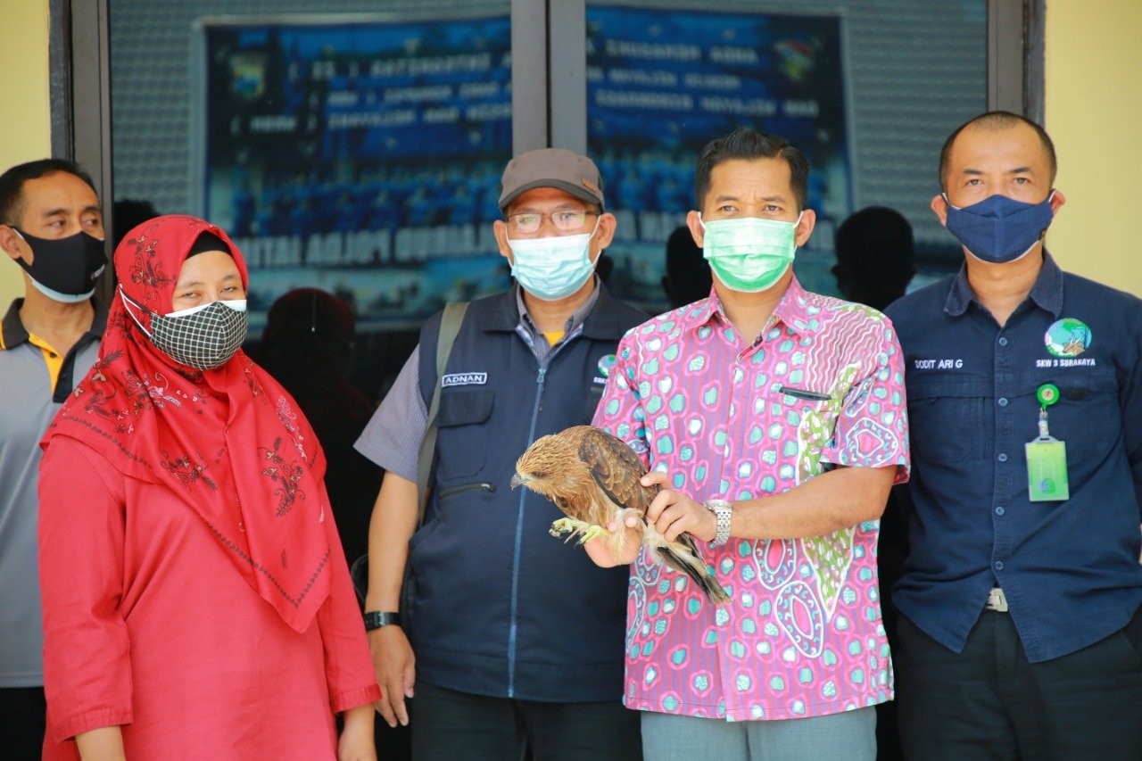 Ditpolairud Polda Jawa Timur Ringkus Dua Pelaku Penyelundupan Satwa Dilindungi