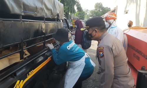 Pasar Hewan PD Joyoboyo Kota Kediri Telah Dibuka Polisi Lakukan Pengawasan