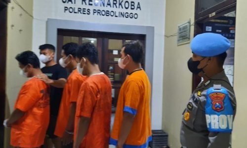 Dalam Sehari Polres Probolinggo Berhasil Tangkap 5 Pengedar Narkoba