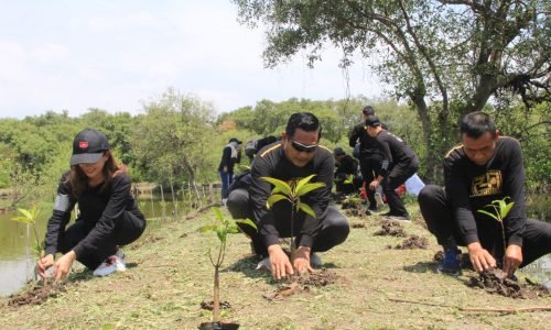 Peringati HUT Humas Polri ke-71, Polrestabes Surabaya Tanam Bibit Pohon Mangrove