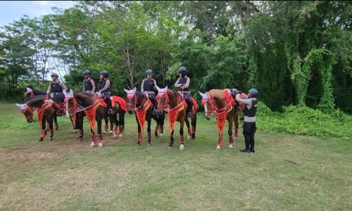 Pasukan Turangga, Polisi Berkuda yang Ikut Jaga Keamanan Delegasi KTT G20 di Bali
