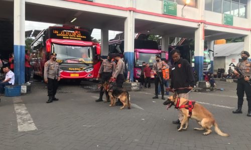 Polresta Sidoarjo Siagakan Anjing Pelacak Jelang Nataru