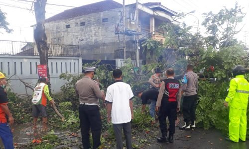Tim Tanggap Bencana Polres Tulungagung Tangani Pohon Tumbang, Akses Jalan Kembali Normal