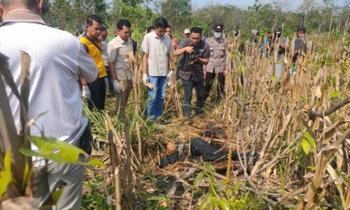 Terkait Penemuan Mayat Manusia di Kedunggalar, Polres Ngawi Menunggu Hasil Forensik